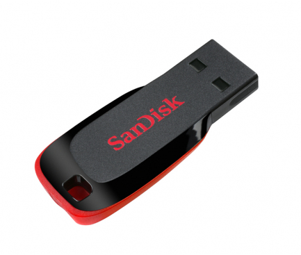 Stick USB SanDisk Cruzer Blade de 256GB